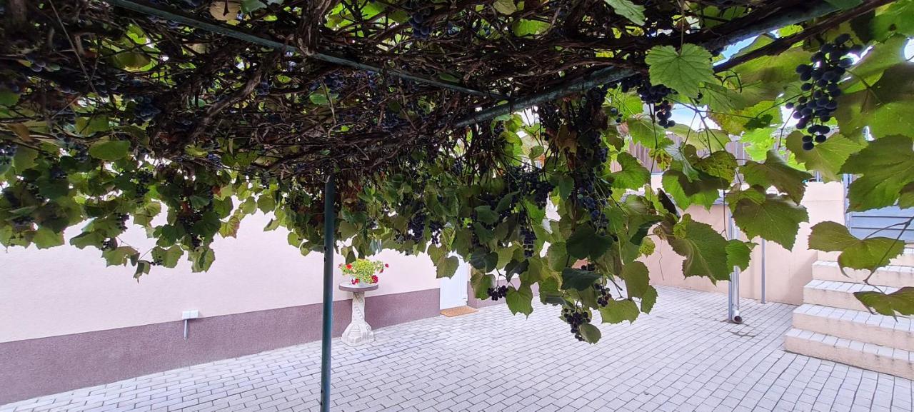 Lugas Apartman Miskolctapolca 2 Haloszoba Dezsa Es Jakuzzi Koezel A Barlangfuerdohoez Exterior photo